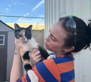 Billie Eilish / billeeilish / billieeilish nude photo #4484