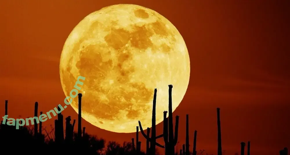 Bitchinbubba nude photo #0008 (bralessforever / illmindofapril)