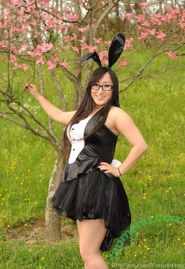 Bitesizedmeg nude photo #0113 (BiteSized_Meg)