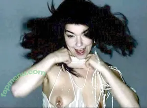 Björk / bjork nude photo #0009