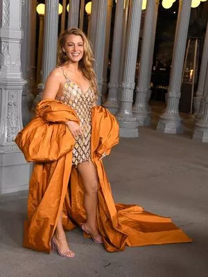 Blake Lively / blakelively nude photo #0981