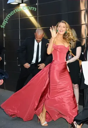 Blake Lively / blakelively nude photo #1296