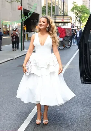 Blake Lively / blakelively nude photo #1395