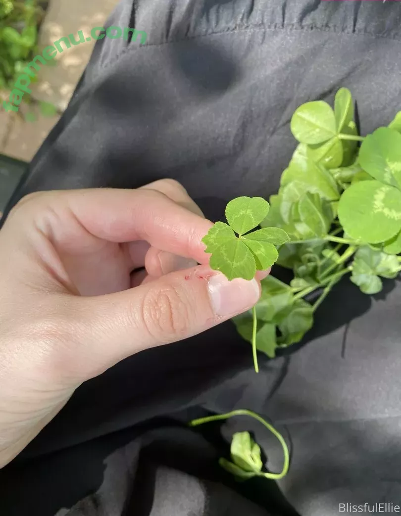 blissfulellie nude photo #0092 (Ellie Burns / EllieBlissful)