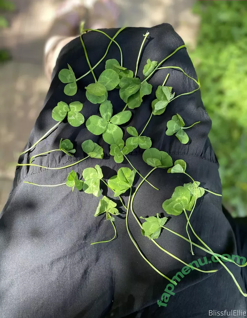 blissfulellie nude photo #0094 (Ellie Burns / EllieBlissful)