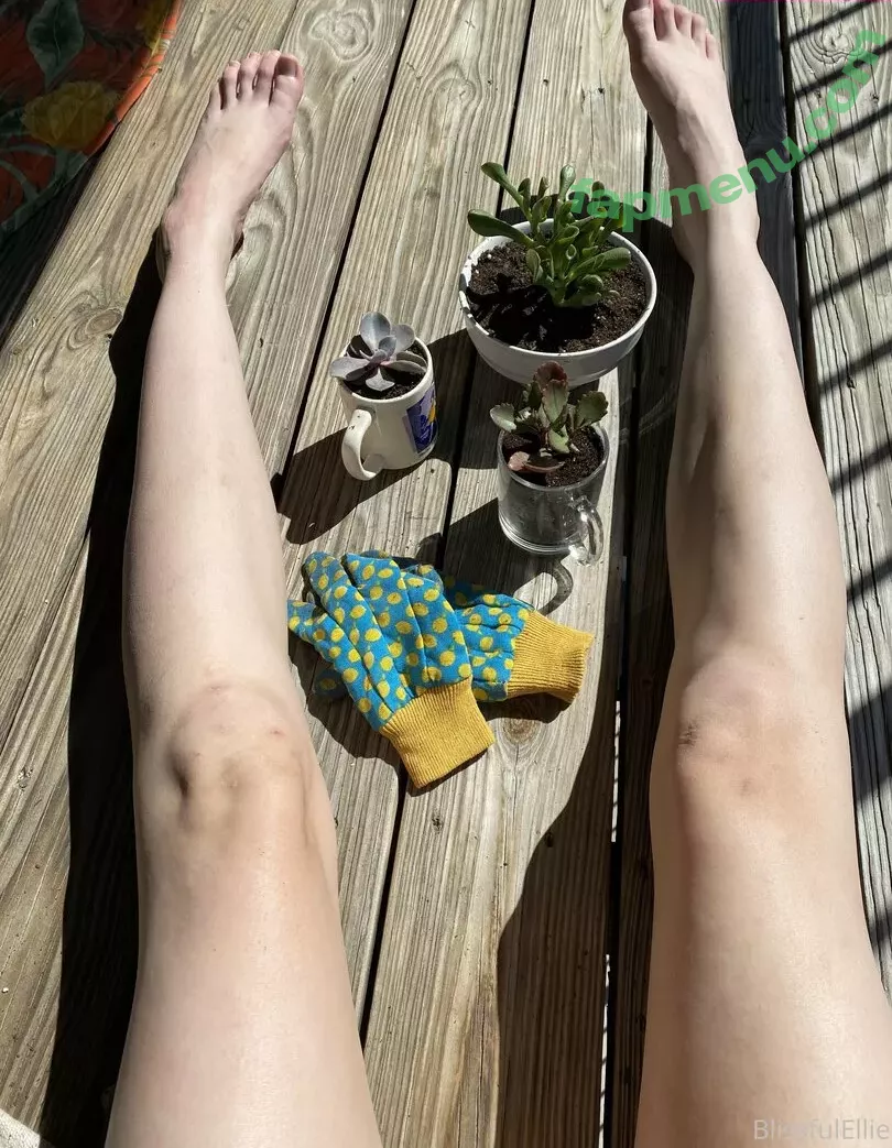 blissfulellie nude photo #0170 (Ellie Burns / EllieBlissful)