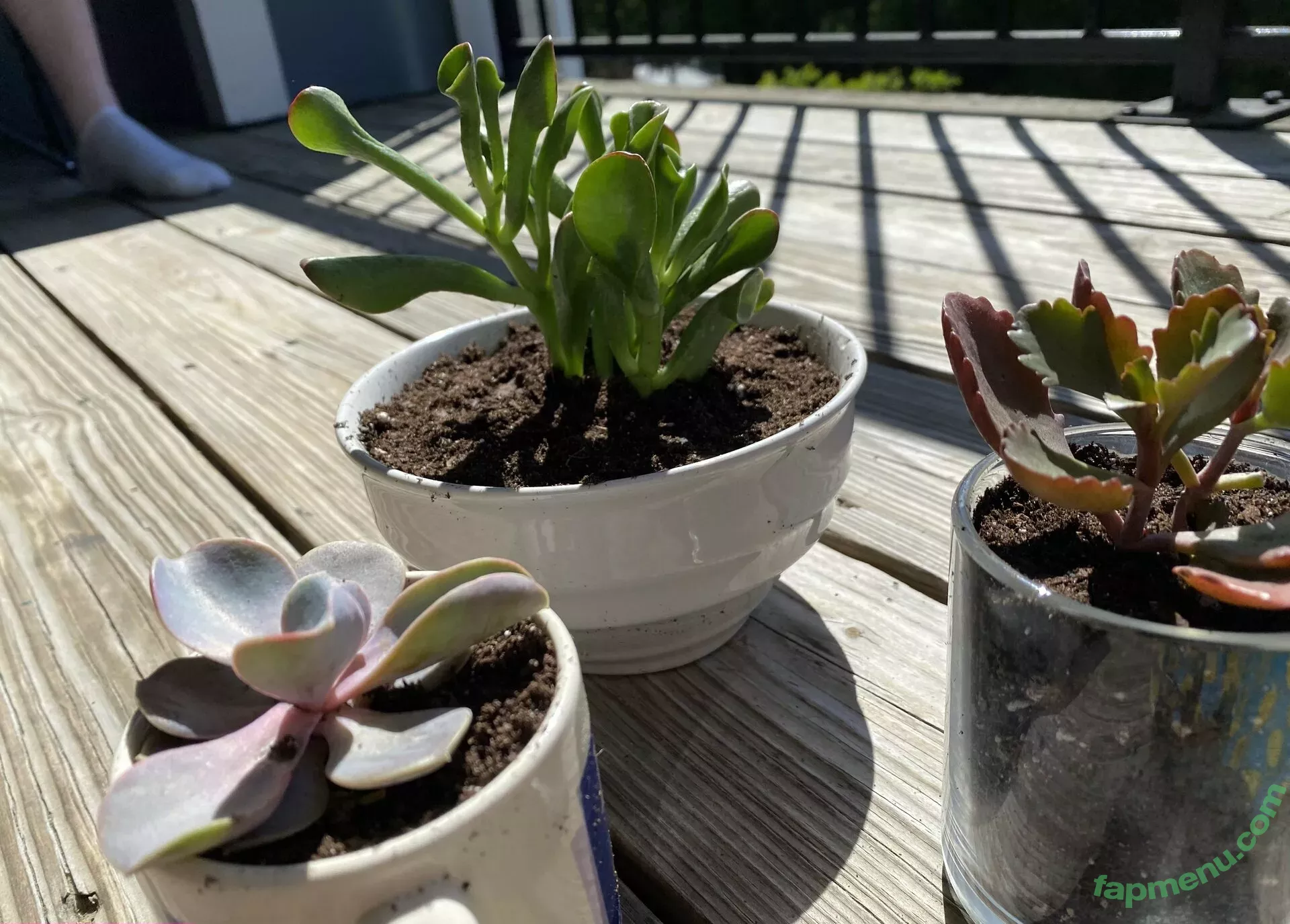 blissfulellie nude photo #0172 (Ellie Burns / EllieBlissful)