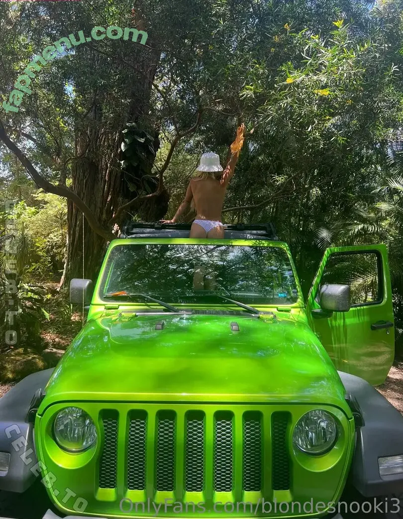 blondesnooki3 nude photo #0044 (blondesnookie / livchema / oliviachema)