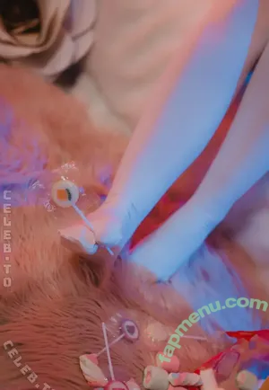 BloodyNyuu nude photo #0790