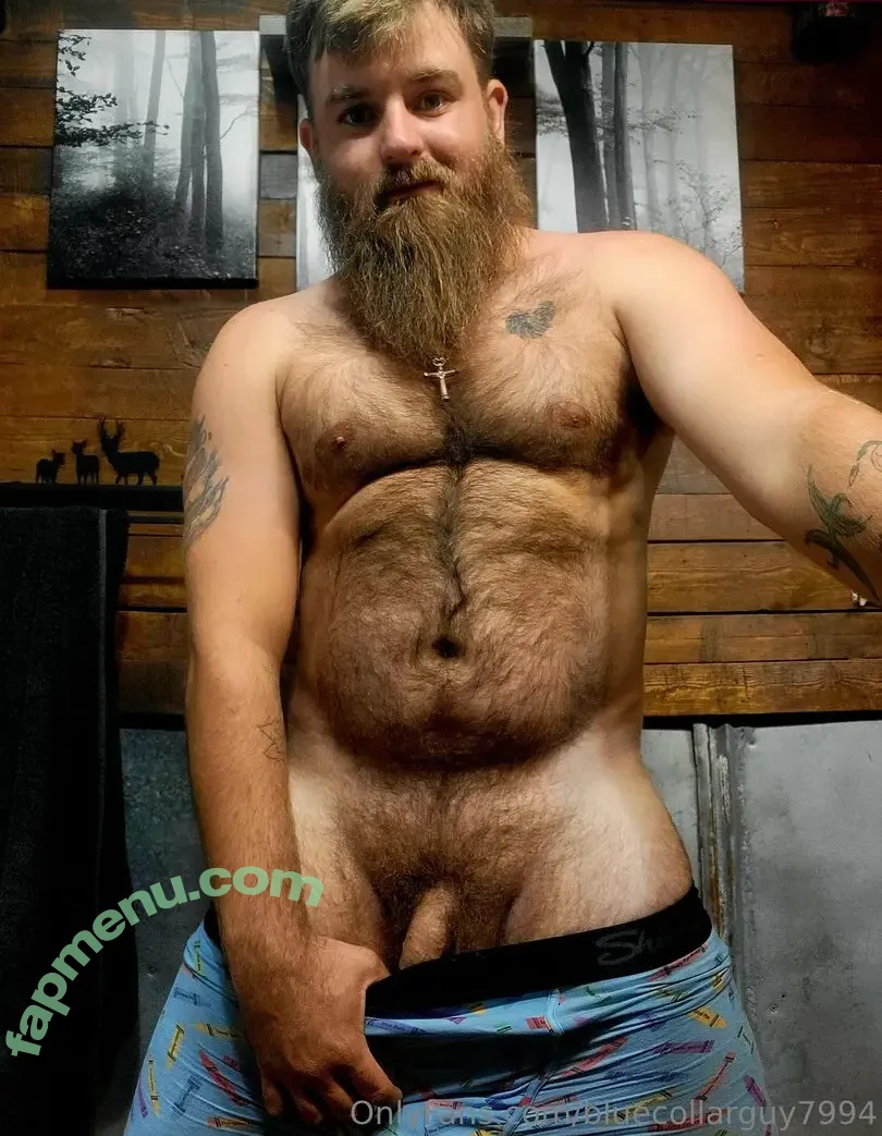 bluecollarguy7994 nude photo #0091 (boy_friend)