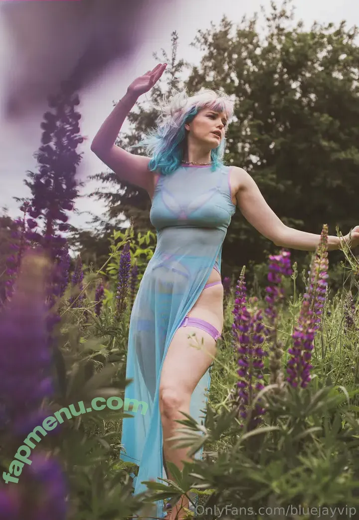 Bluejay nude photo #0004 (bluejay712)