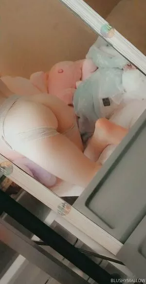 blushymallow / blushy.mallow / pastelblushy nude photo #0015