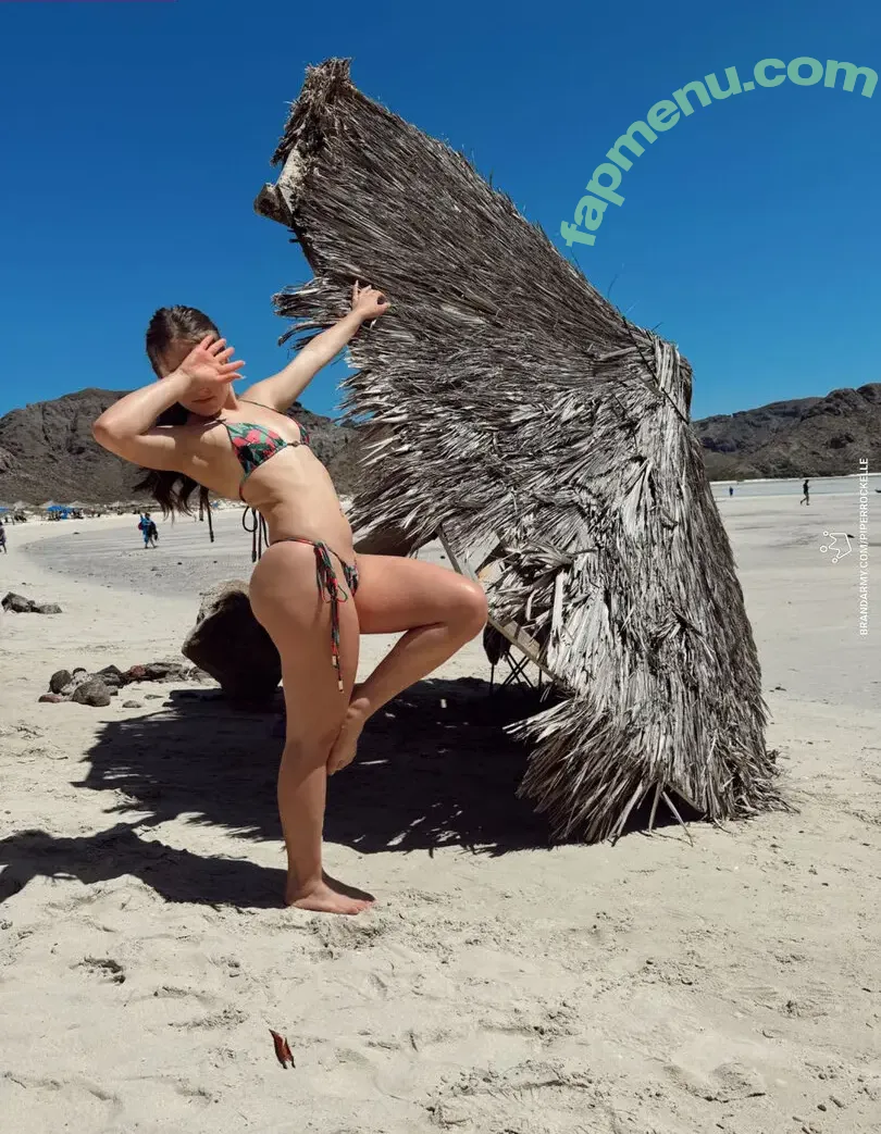 BrandArmy nude photo #0316 (BrandArmy)