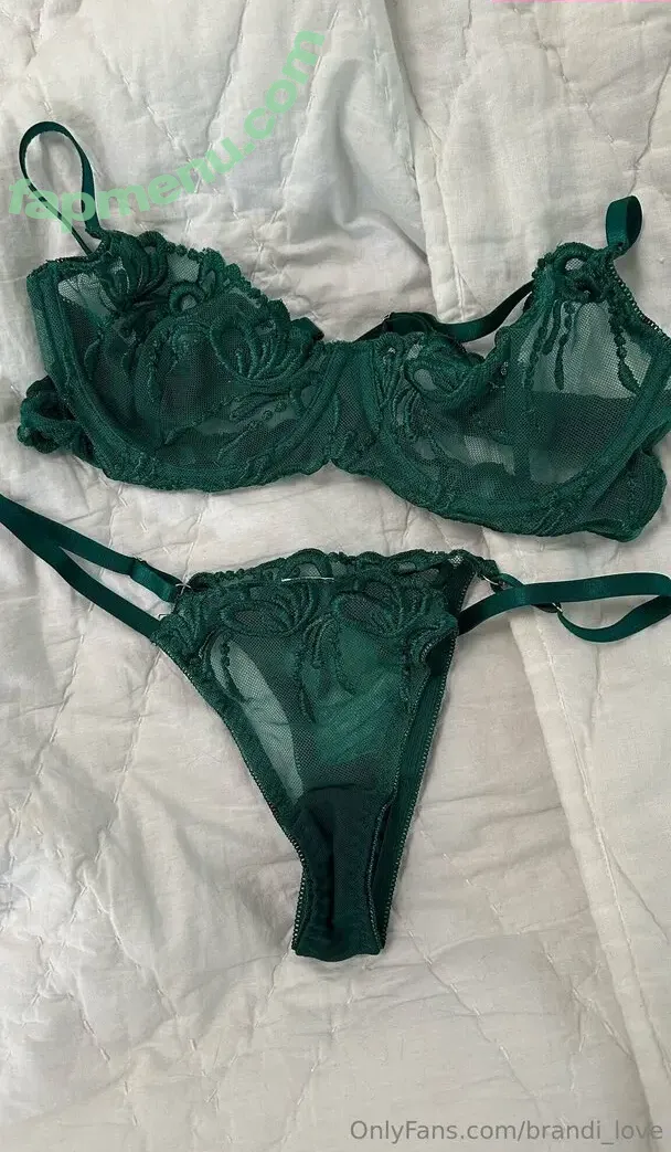 Brandi Love nude photo #1857 (Brandi_Love / vids)