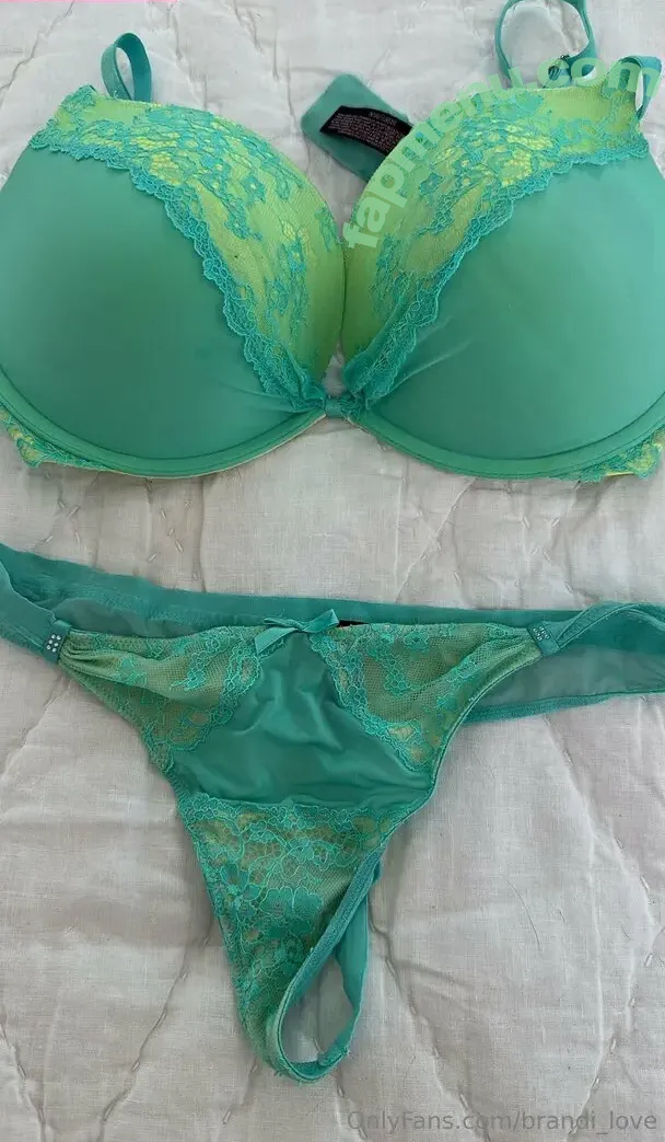 Brandi Love nude photo #2143 (Brandi_Love / lovetroopers / vids)