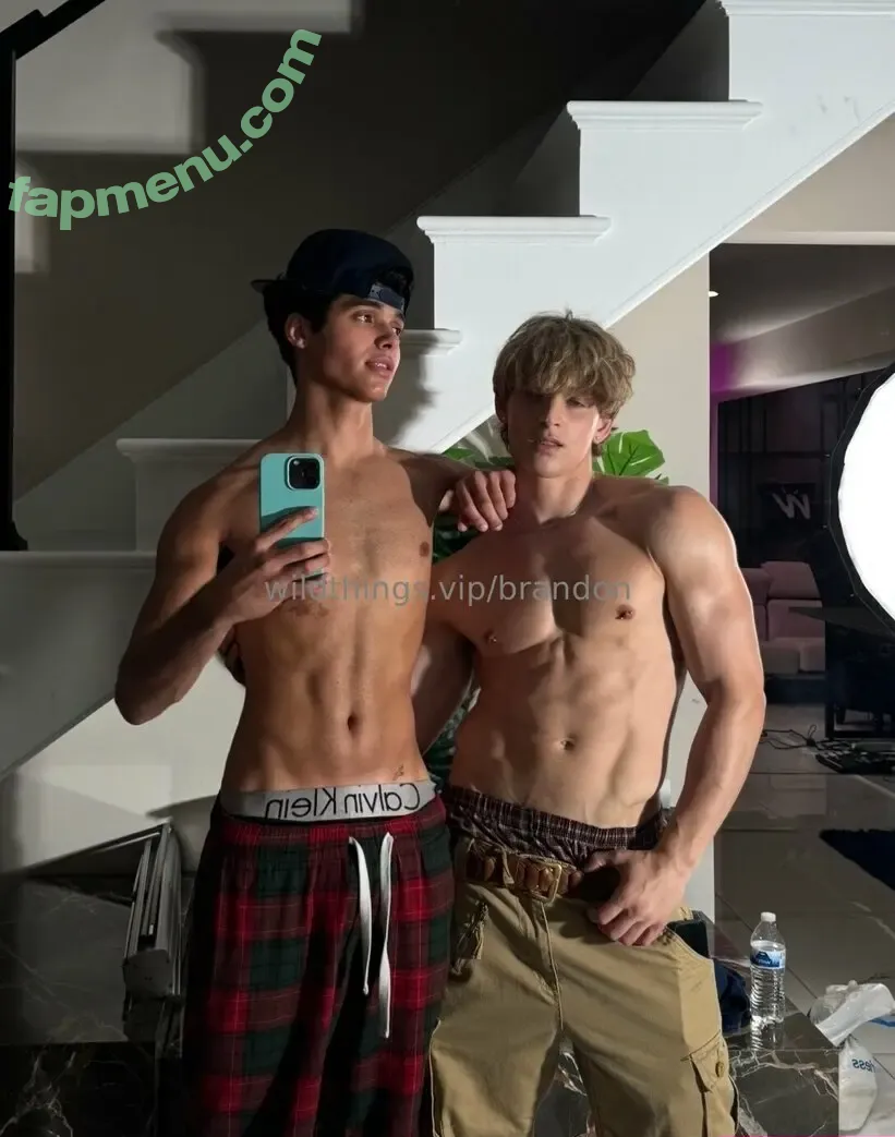 brandoncardoso nude photo #0001 (brandoncardoso)