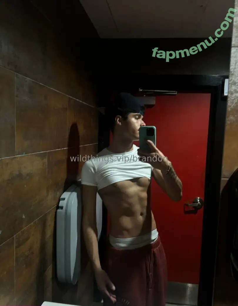 brandoncardoso nude photo #0002 (brandoncardoso)