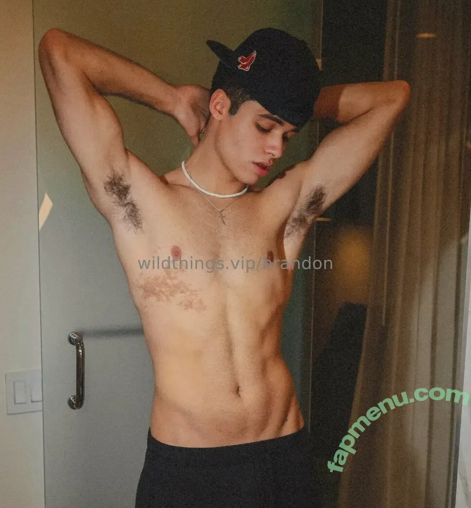 brandoncardoso nude photo #0003 (brandoncardoso)