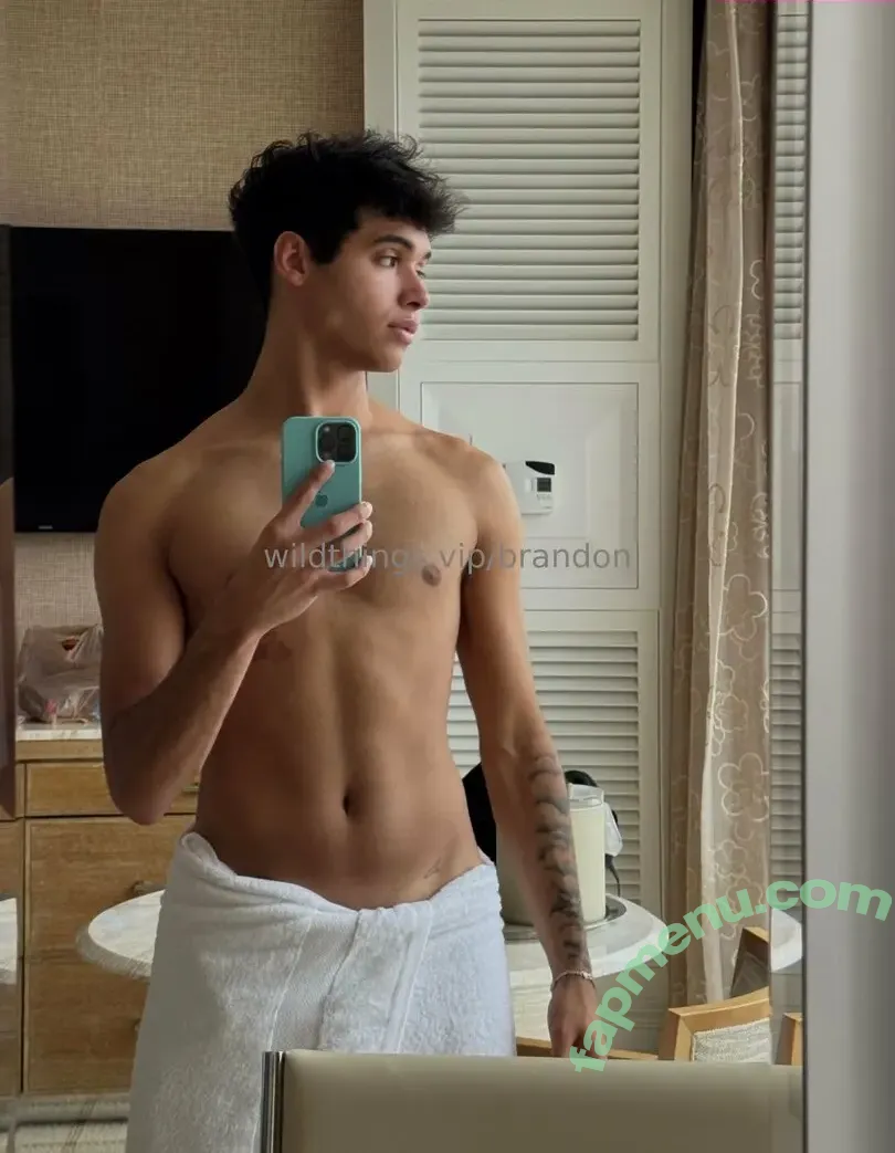brandoncardoso nude photo #0007 (brandoncardoso)