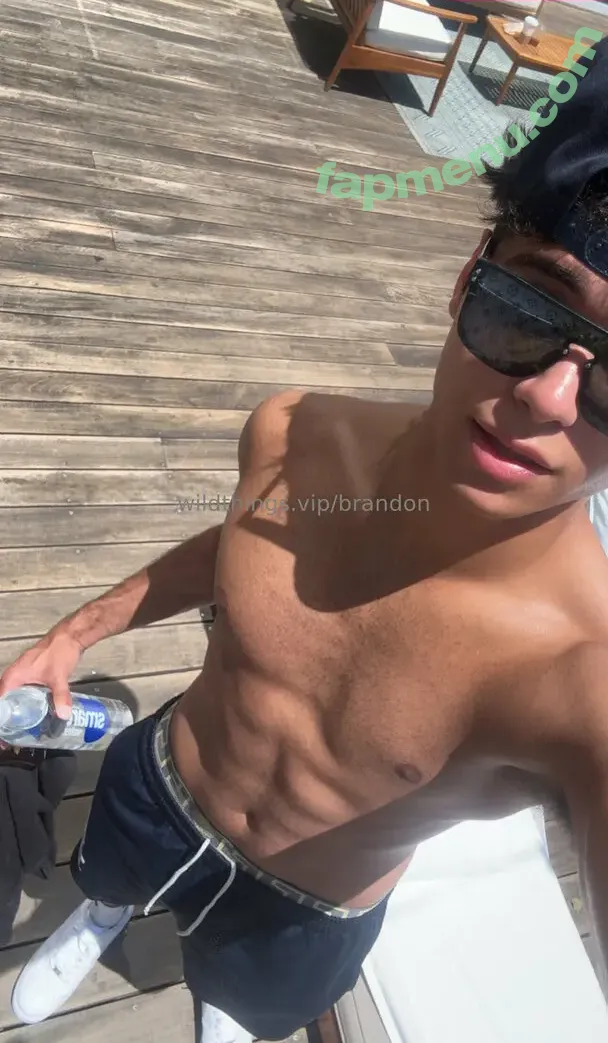 brandoncardoso nude photo #0013 (brandoncardoso)