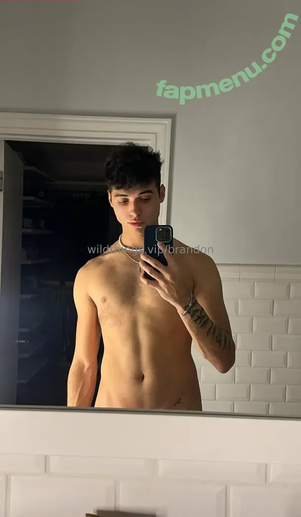 brandoncardoso nude photo #0014 (brandoncardoso)