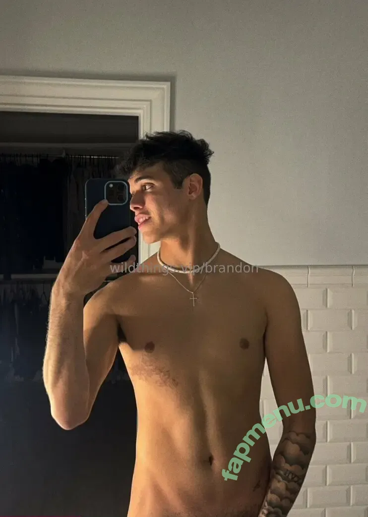 brandoncardoso nude photo #0026 (brandoncardoso)