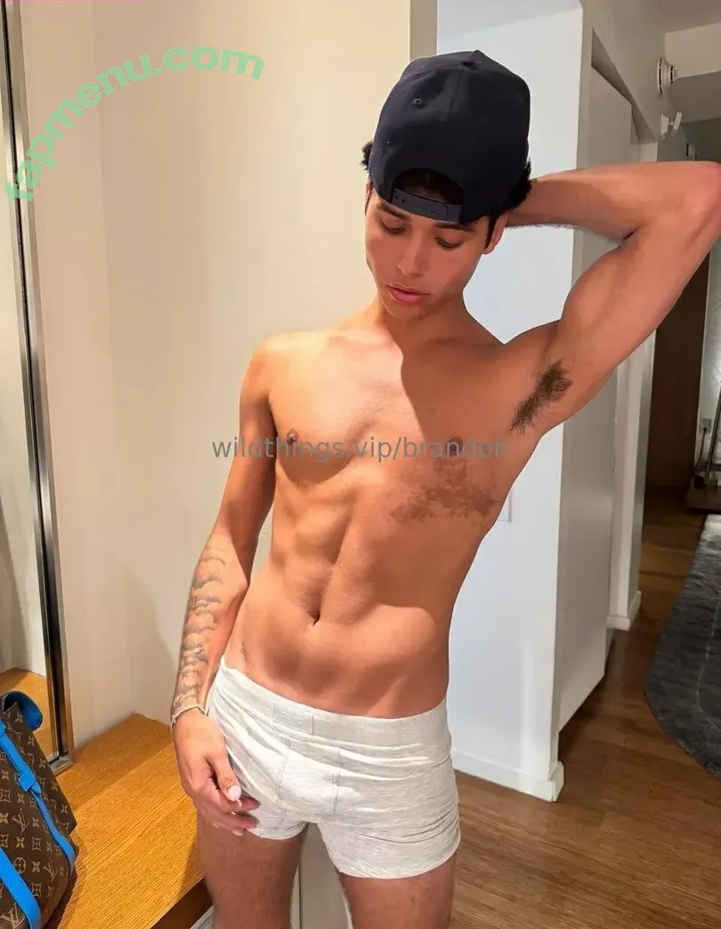 brandoncardoso nude photo #0029 (brandoncardoso)