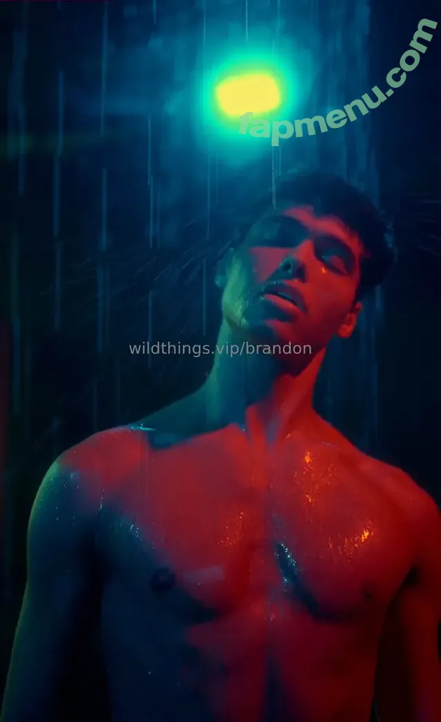 brandoncardoso nude photo #0061 (brandoncardoso)