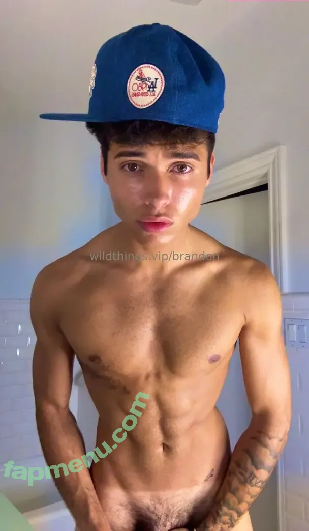 brandoncardoso nude photo #0064 (brandoncardoso)
