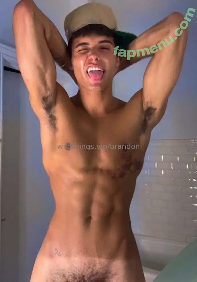 brandoncardoso nude photo #0067 (brandoncardoso)