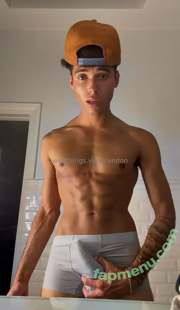 brandoncardoso nude photo #0078 (brandoncardoso)