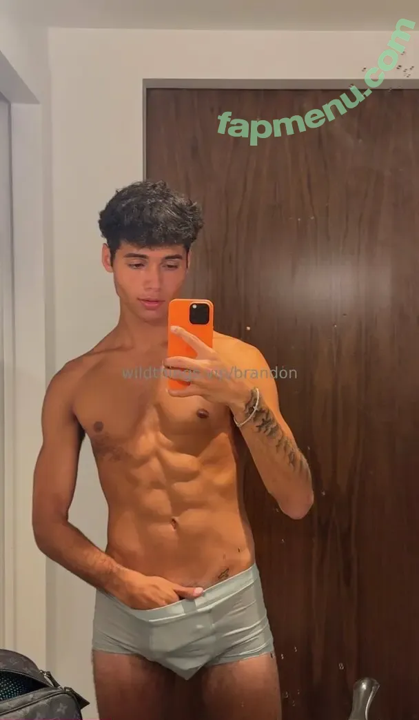 brandoncardoso nude photo #0081 (brandoncardoso)