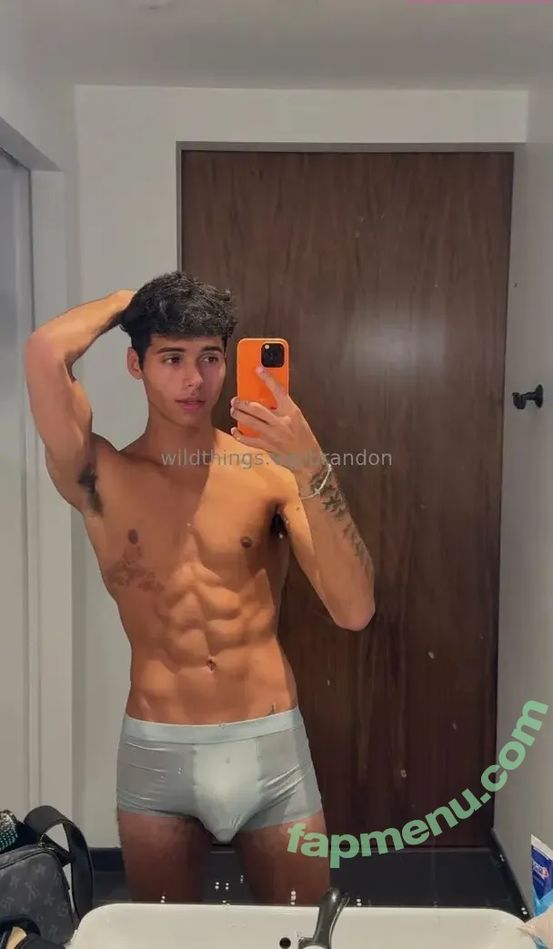 brandoncardoso nude photo #0083 (brandoncardoso)