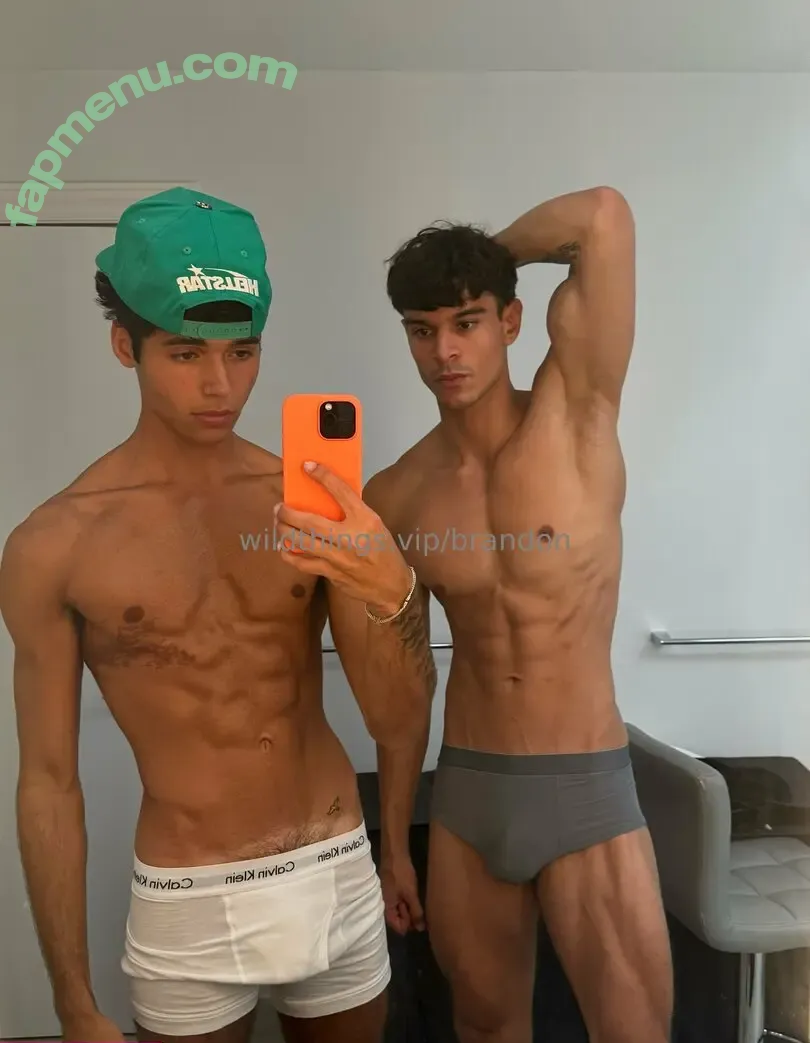 brandoncardoso nude photo #0089 (brandoncardoso)