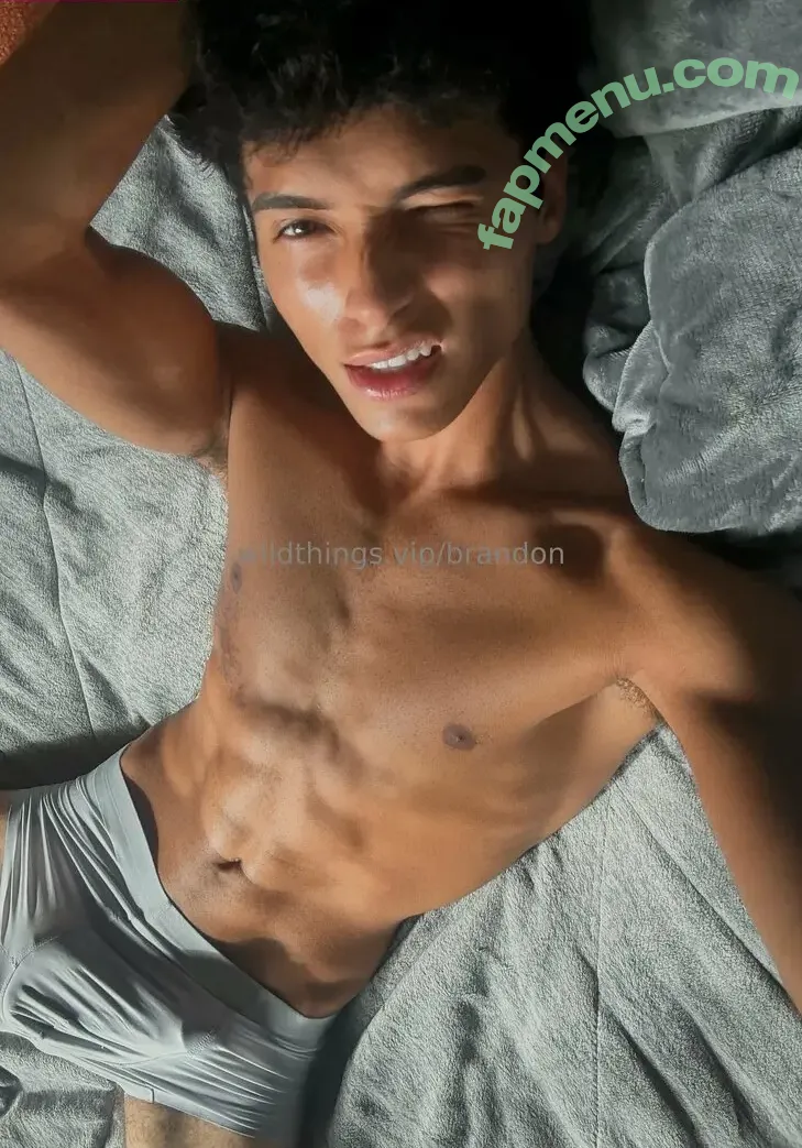 brandoncardoso nude photo #0091 (brandoncardoso)