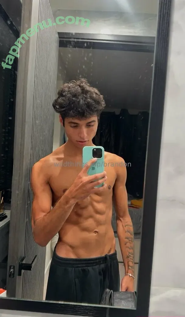 brandoncardoso nude photo #0103 (brandoncardoso)