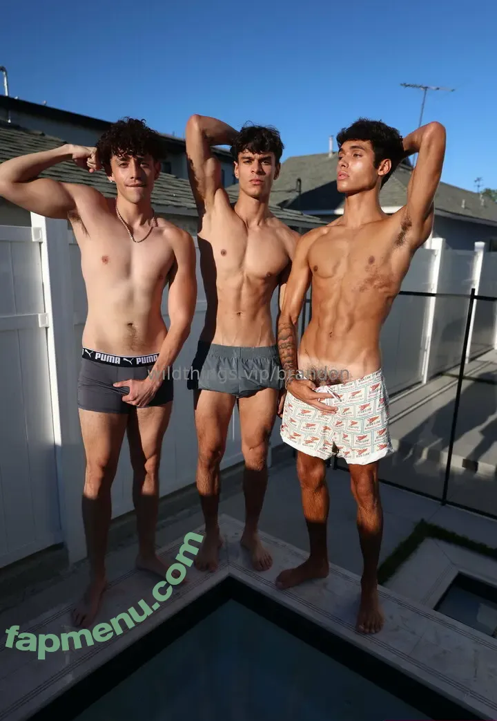 brandoncardoso nude photo #0001 (brandoncardoso)