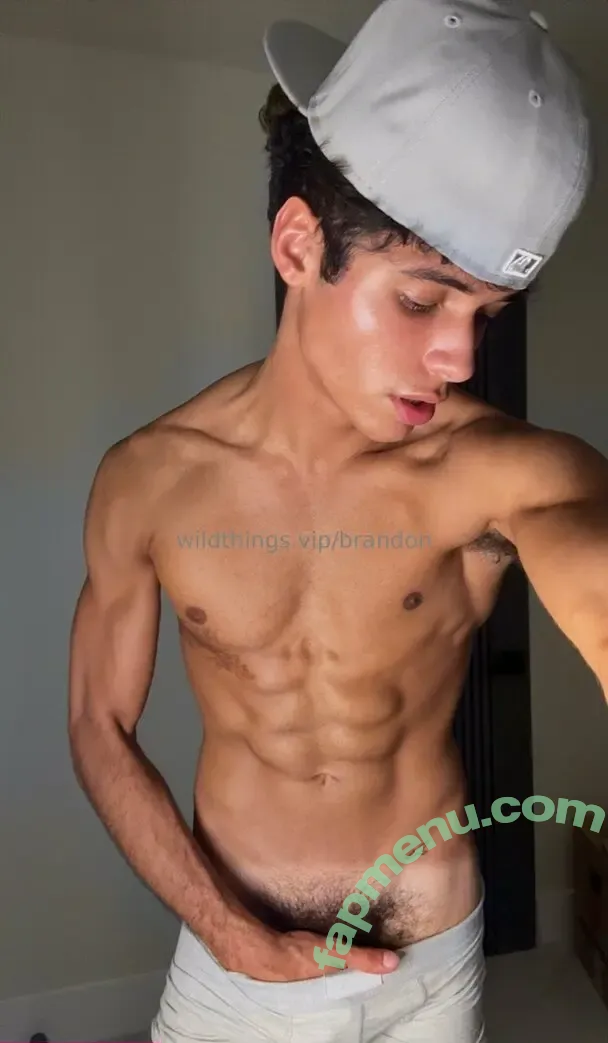 brandoncardoso nude photo #0002 (brandoncardoso)