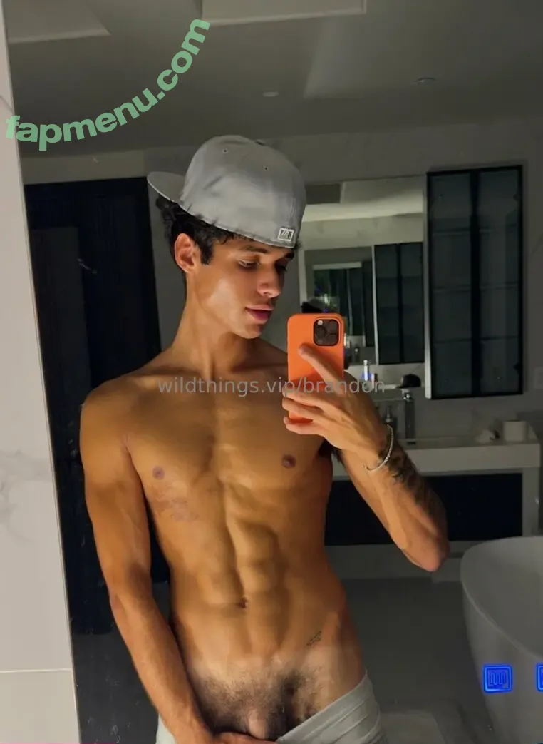 brandoncardoso nude photo #0005 (brandoncardoso)