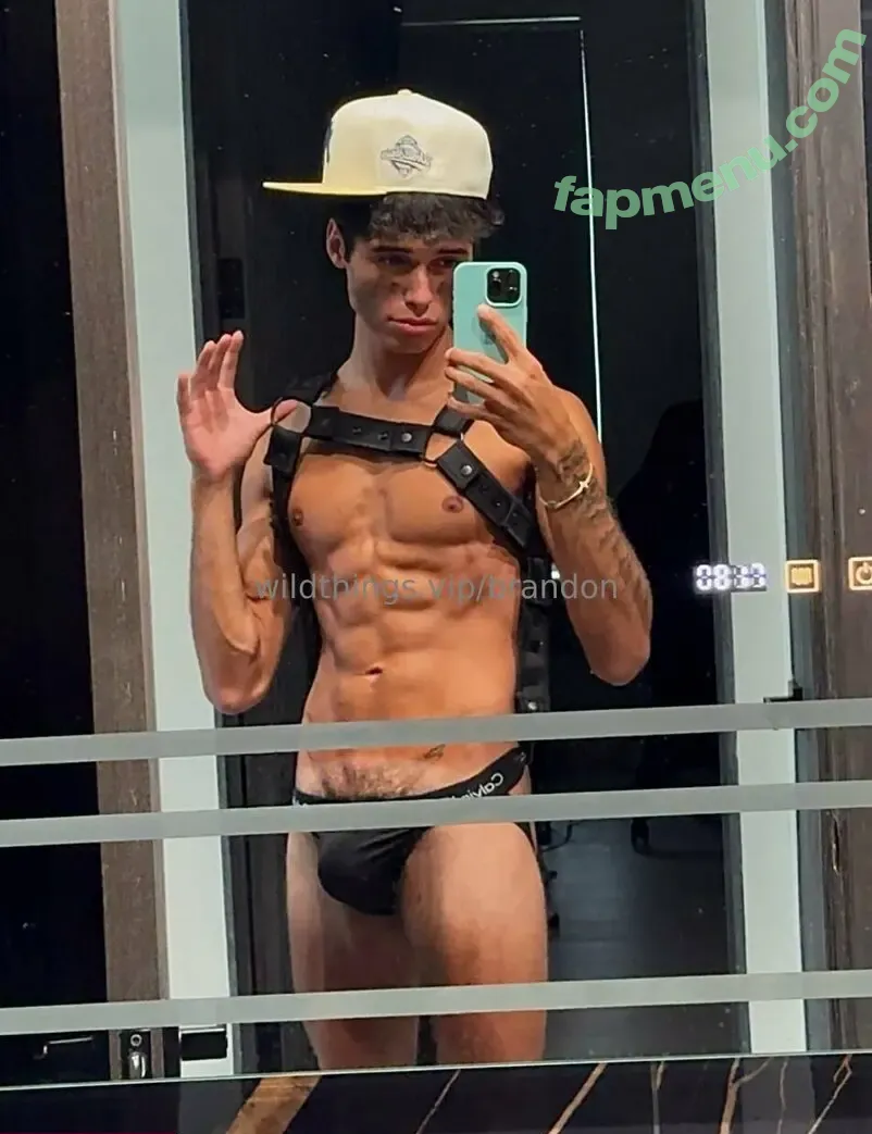 brandoncardoso nude photo #0006 (brandoncardoso)