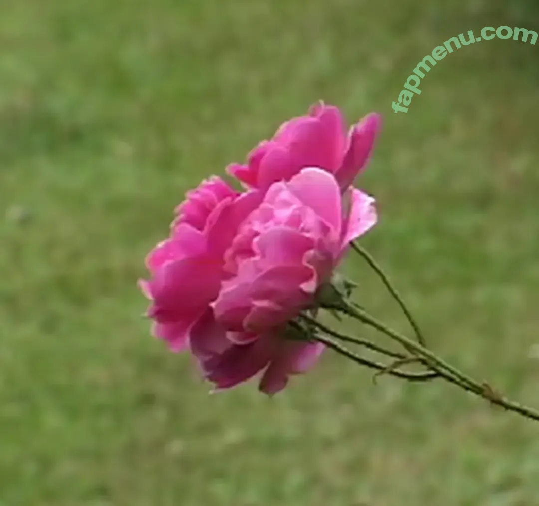 Brasileirinhas nude photo #0280 (Monica Matto / brasileirinha.oficial / labrasileira01)