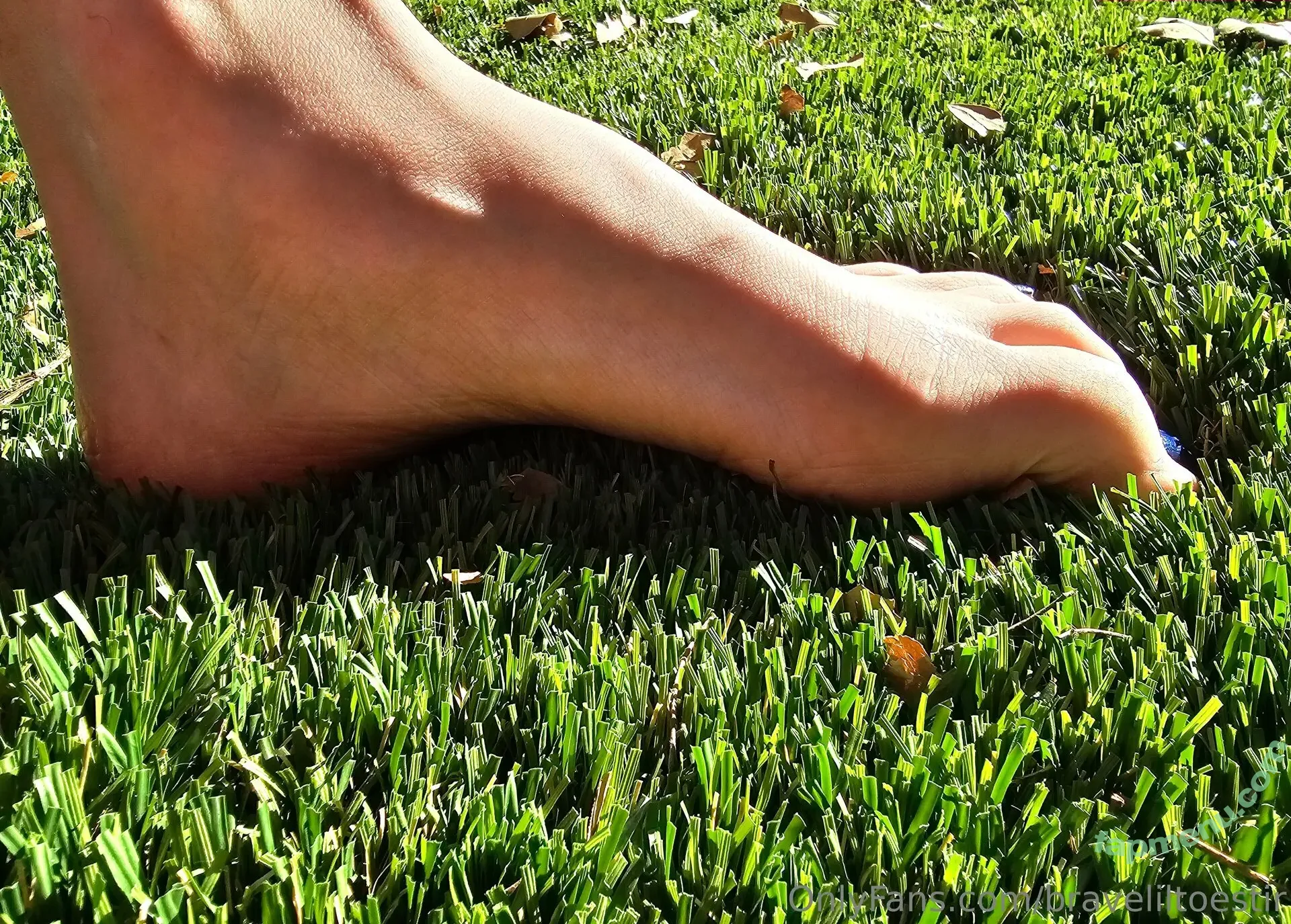 braveliltoestir nude photo #0010 (bravelittletaylor)