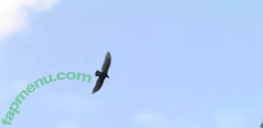 Breann McGregor nude photo #0130 (breannmcgregor)