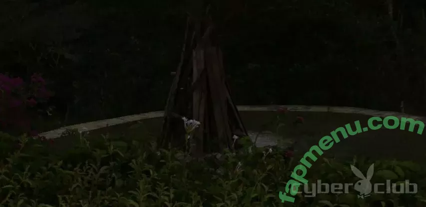 Breann McGregor nude photo #0135 (breannmcgregor)