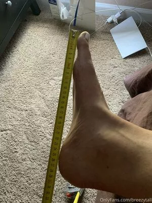 breezytall / Brichacova Bradshaw / Klara / klarabradshaw nude photo #0005