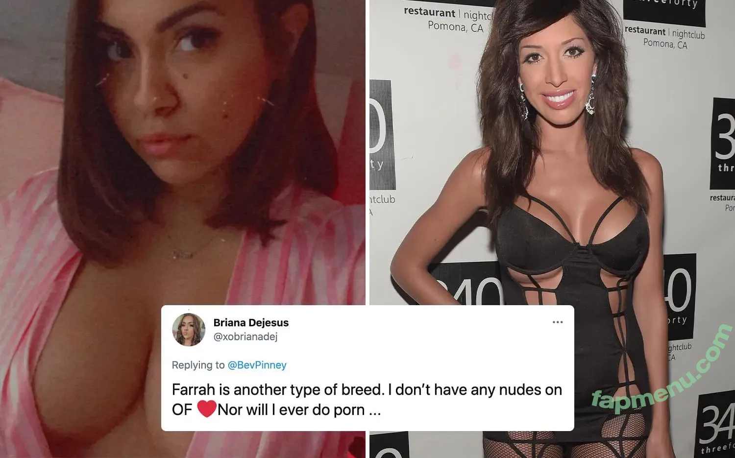 Briana Dejesus nude photo #0029 (_brianadejesus)
