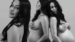 Brie Bella / brie nude photo #0058