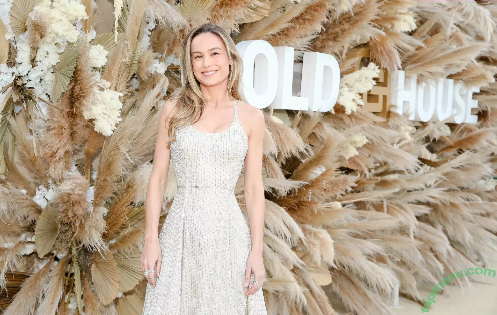 Brie Larson nude photo #0083 (brielarson)