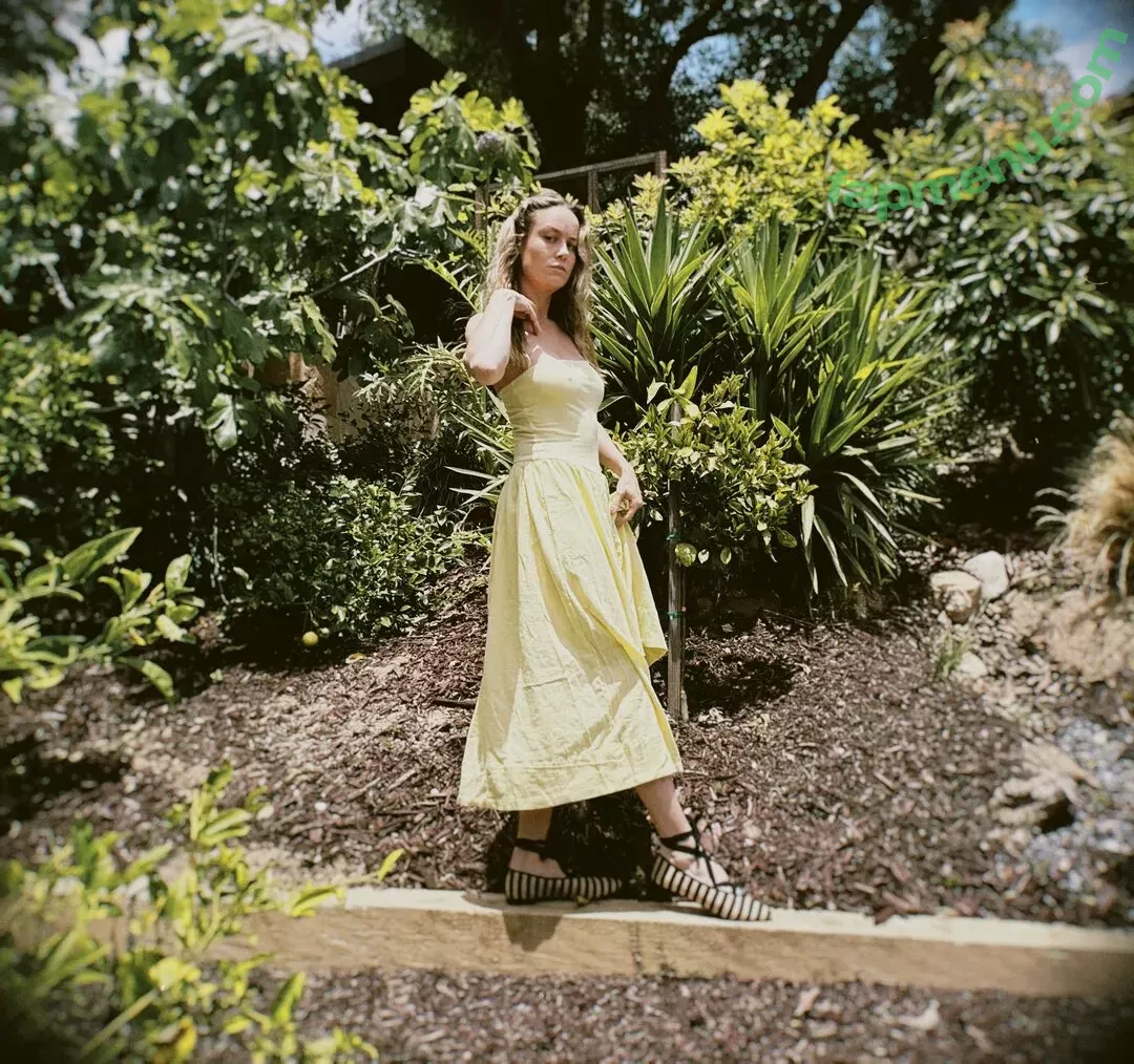 Brie Larson nude photo #0296 (brielarson)