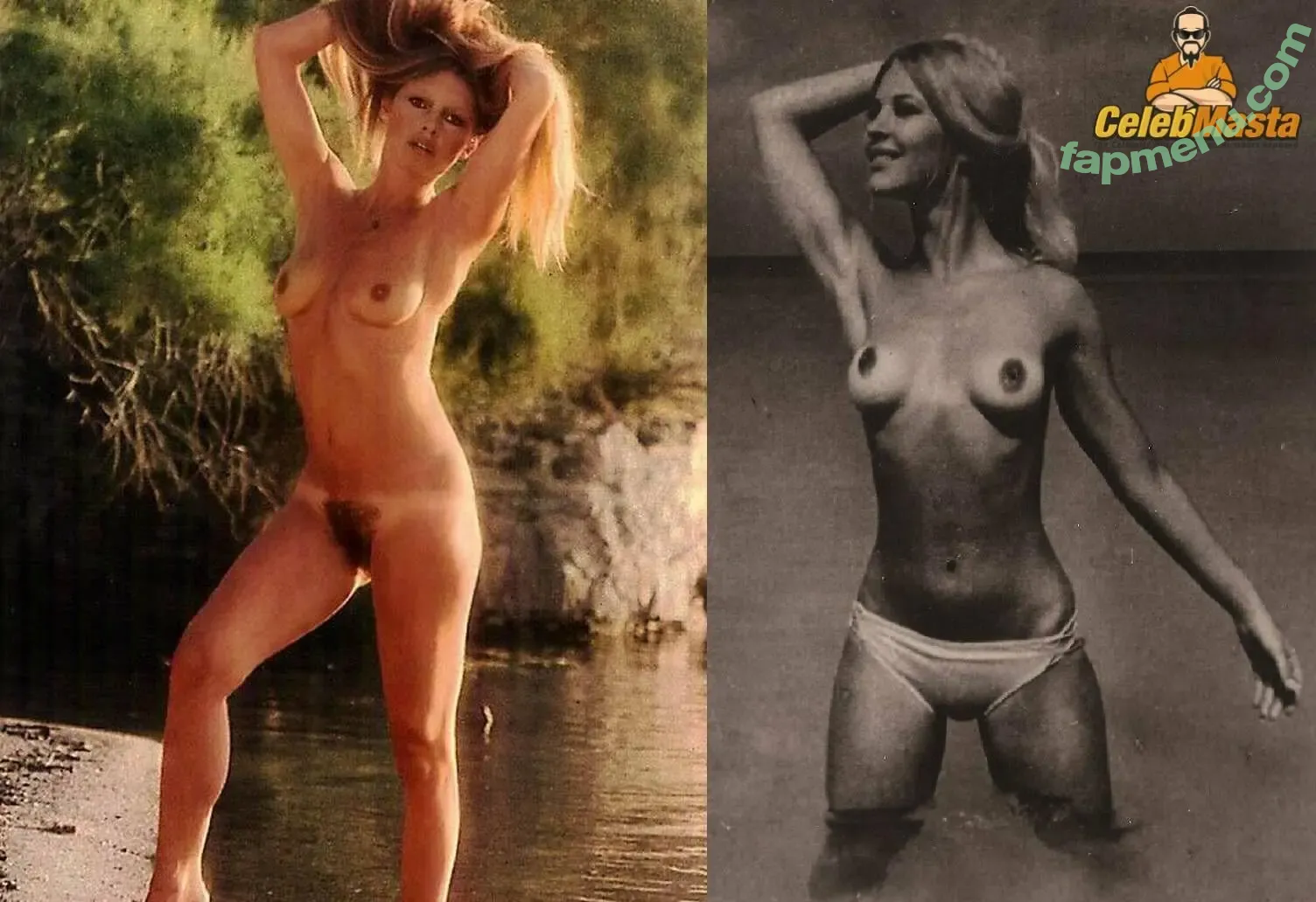 Brigitte Bardot nude photo #0193 (brigittebardotbb)